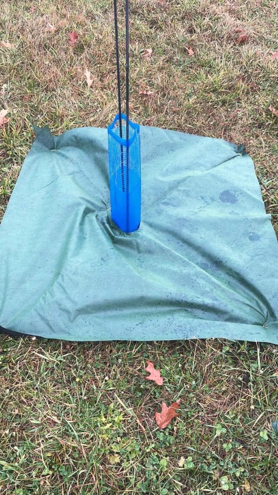 Tree protection guard