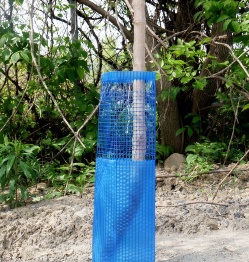 Tree protection guard
