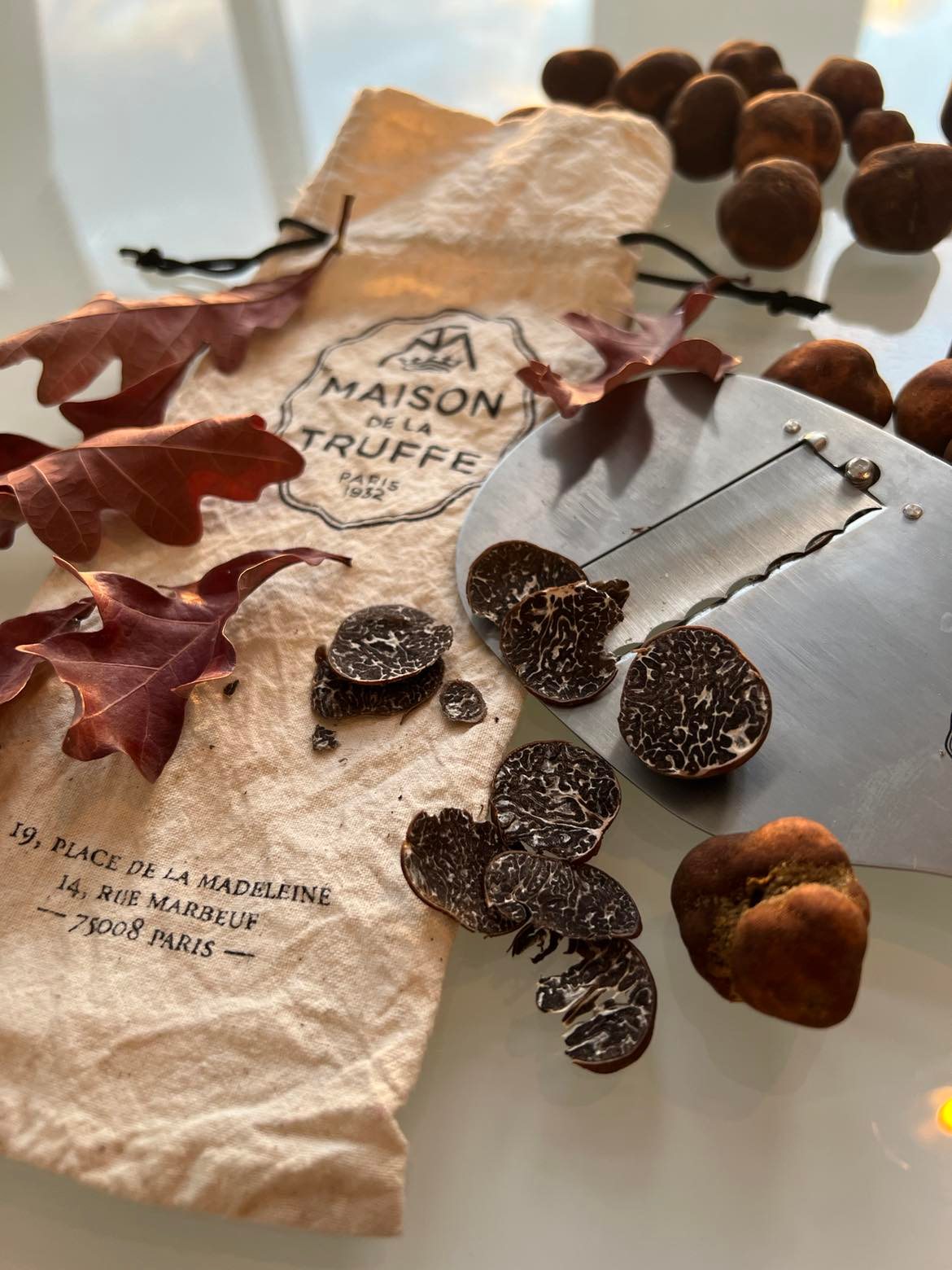 La Filière mycologique de la Mauricie et Truffes Québec deviennent partenaires - Tourisme Mauricie
