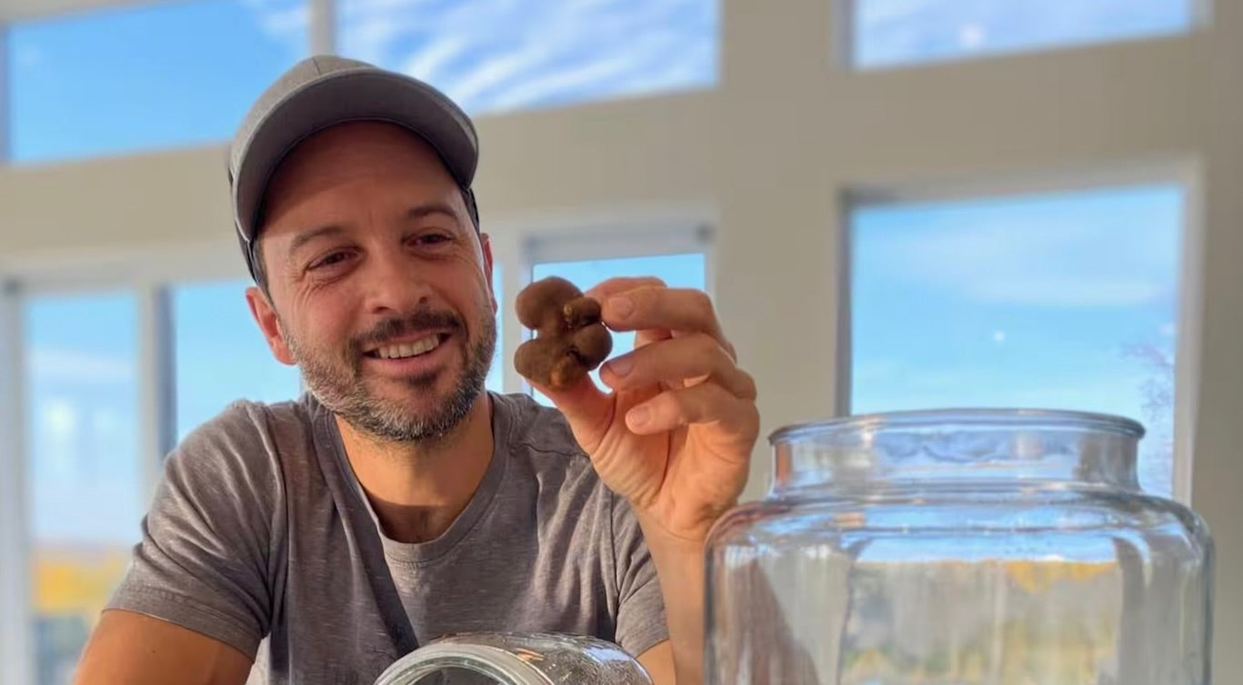 Des truffes québécoises vendues à 3000$ le kilo - TVA Nouvelles