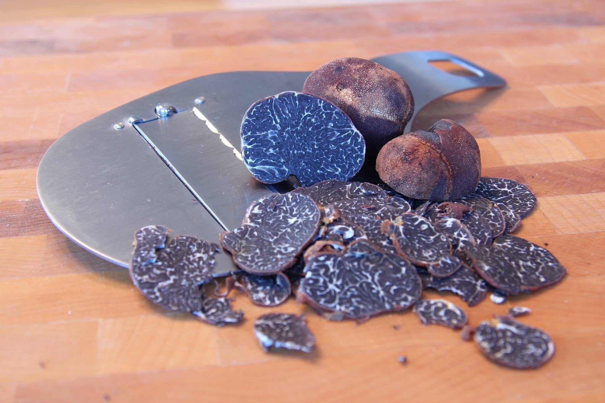 Des truffes cultivées dans les champs de Saint-Élie-de-Caxton - Ici Médias
