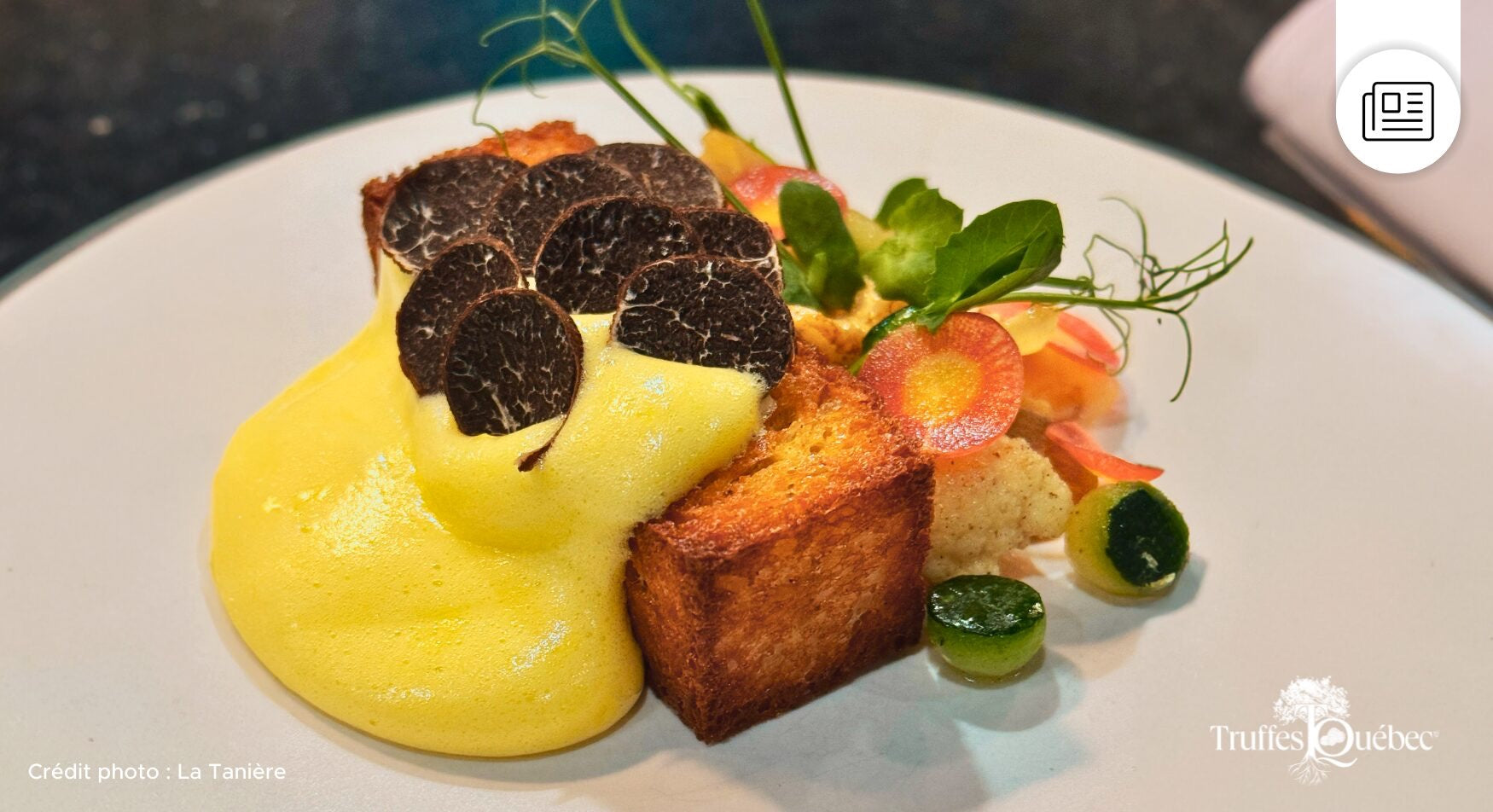 Les premières truffes des Appalaches à la conquête des grandes tables québécoises - Agro Québec