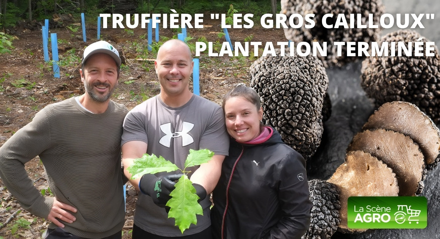 Truffière « Les Gros Cailloux » – Plantation terminée - Agro Québec