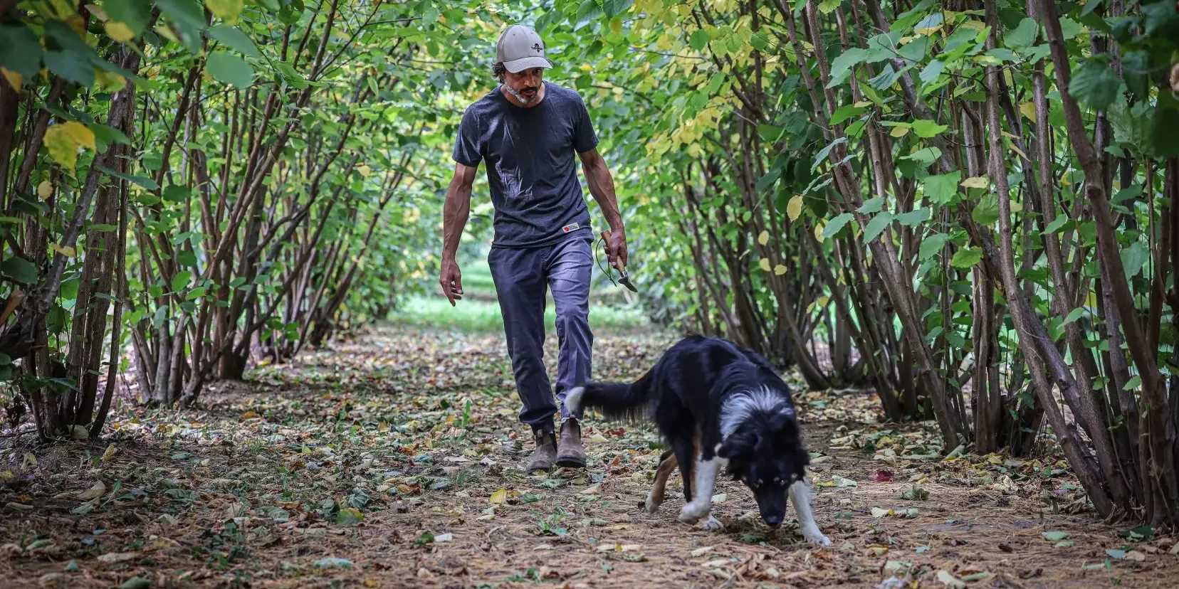 Jérôme Quirion à la recherche de truffes avec sa chienne Taouk