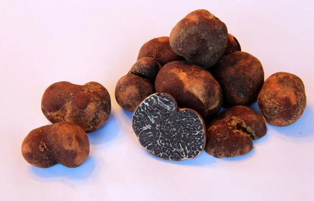Le Québec est-il en train de vivre son «moment truffe»? - Le Devoir