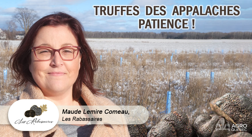 Truffes des Appalaches patience ! - Agro Québec