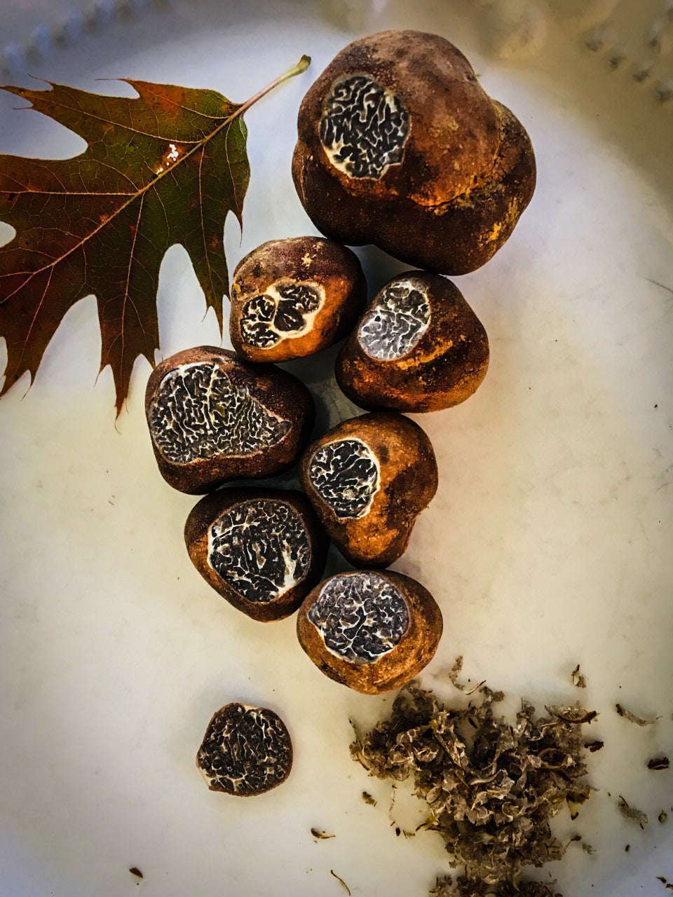Truffes des Appalaches (Canaliculatum)