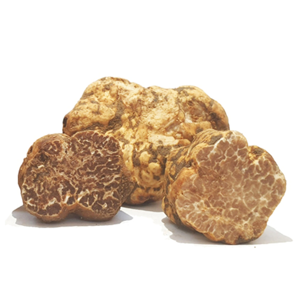 Truffes Bianchetto (Borchii)
