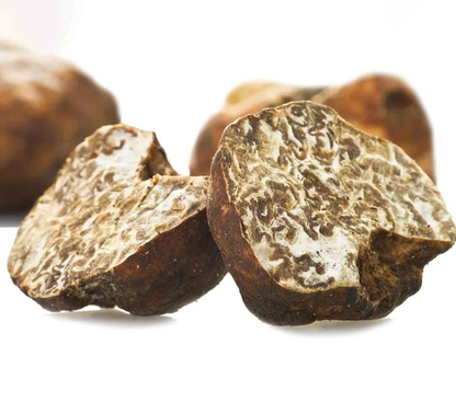 Truffes Bianchetto (Borchii)