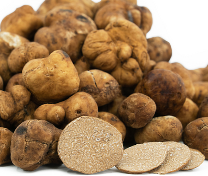 Truffes du Pacanier (Lyonii)