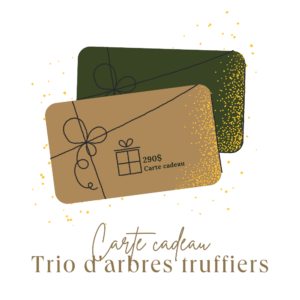 Carte cadeau - Trio d'arbres truffiers