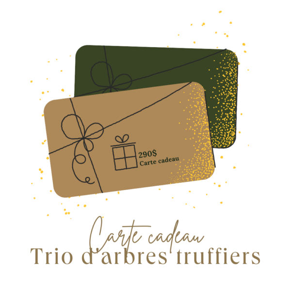 Carte cadeau - Trio d'arbres truffiers